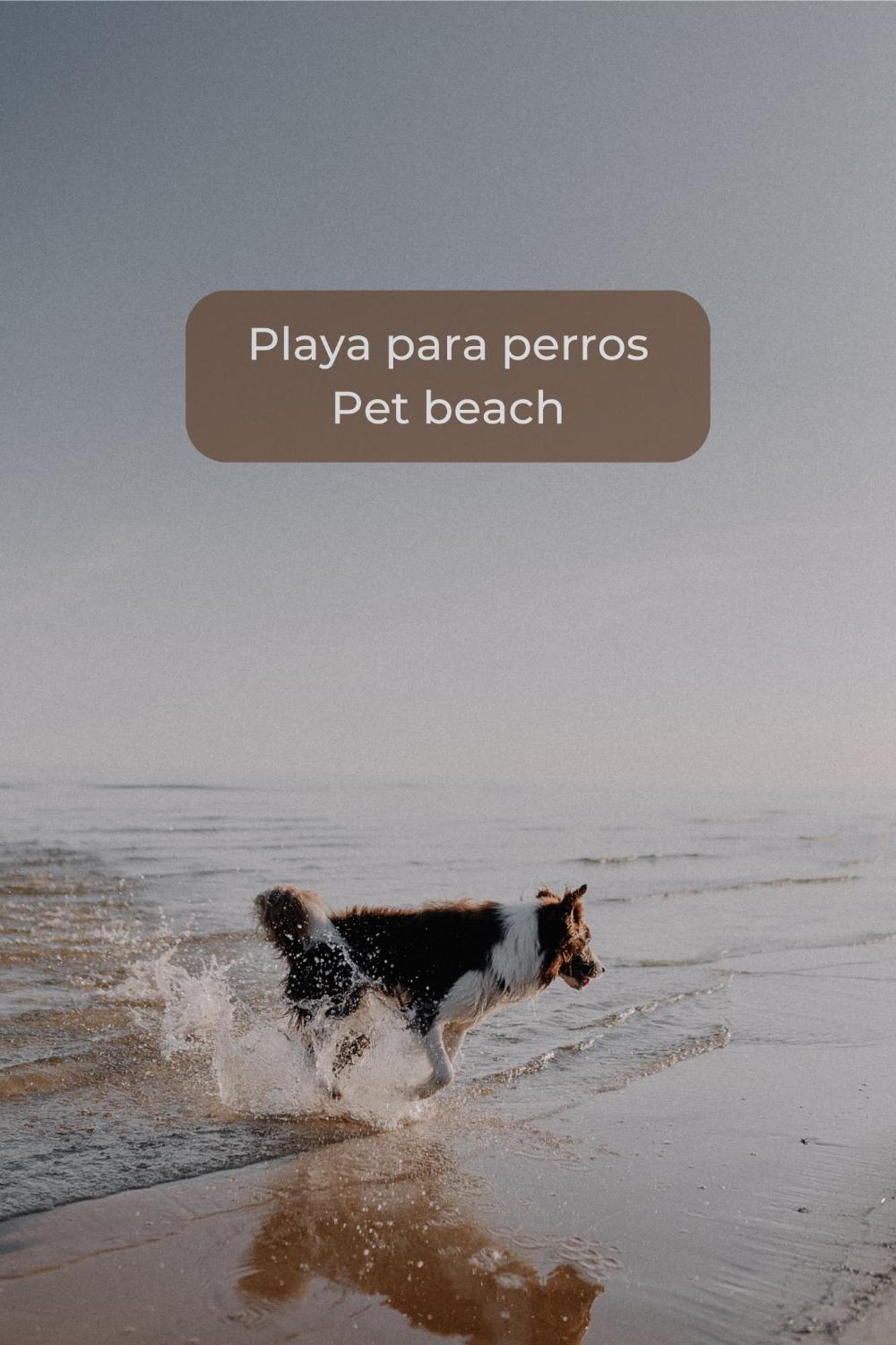 Canelita Con Piscina, Soleada Terraza Amplia Wifi Y Parking Коральео Экстерьер фото